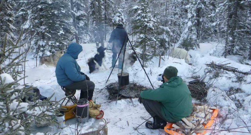 A group of people wearing winter gear gather around a campfire in a snowy, wooded landscape. There are also sled dogs nearby. 